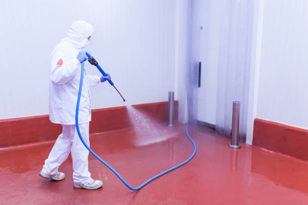 Best Pre-Holiday Cleaning  in Upland, CA